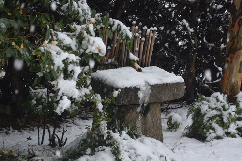 つくばい雪20140208wb.jpg