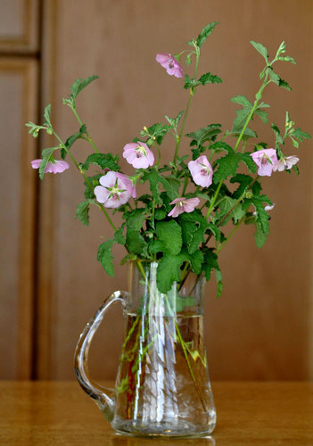アニソ花瓶1wb.jpg