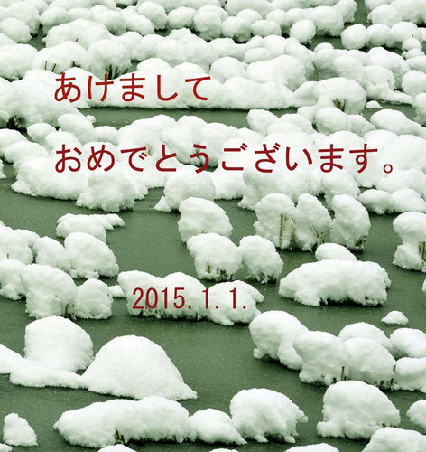雪の田んぼ年賀状wb.jpg